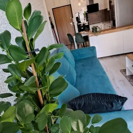 Apartament Zielony Lejlighed Jastrzębia Góra