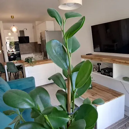 Apartament Zielony Διαμέρισμα