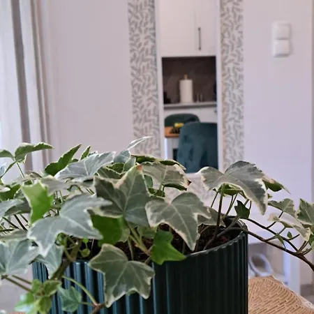 Apartament Zielony