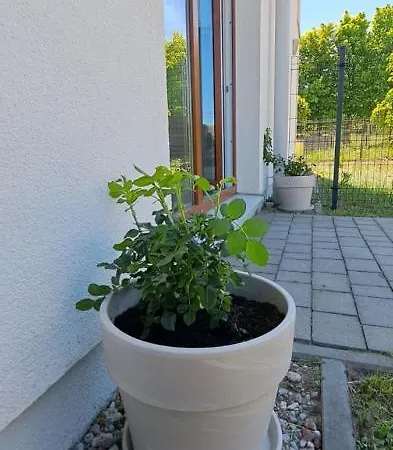 Apartament Zielony